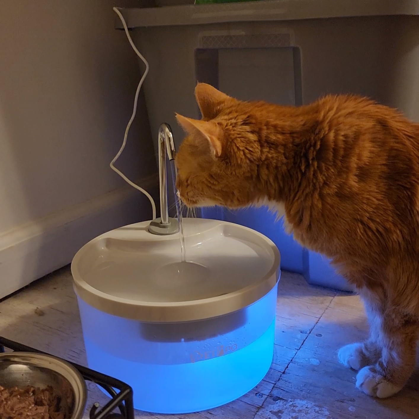 SipTap®️ Pet Water Fountains - White Round