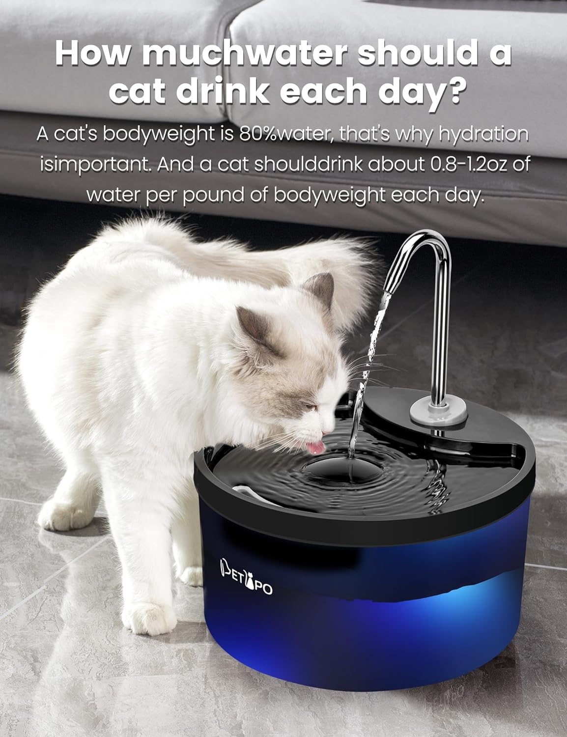 SipTap®️ Pet Water Fountains - Black Round